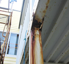 �Ŀ��������ԡ��᥾��ۥ磻���͡����饵���ǥ��� ���ɥ�ե�����