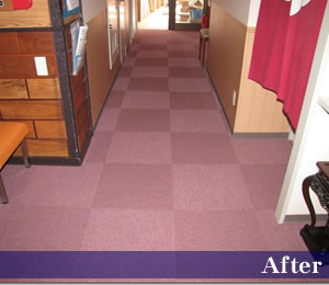 �Ŀ���ʿ��ԡ������ڥåȥ����롡��ե�����