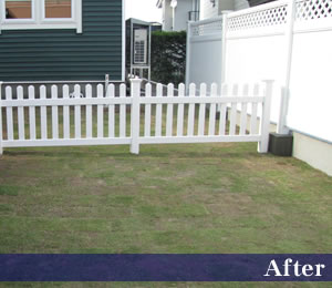 �Ŀ��������԰¸����Х��ʥ�ե��󥹻ܹ�