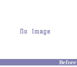 �Ŀ�����ʿ��ԡ�����쥹���С�����š���Х��ʥ�ե��󥹤λܹ�