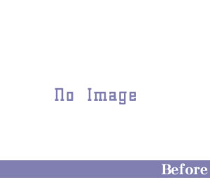 �Ŀ�����ʿ��ԡ����۽��𡡥Х��ʥ�ե��󥹤λܹ�