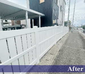 �Ŀ�����ʿ��ԡ����۽��𡡥Х��ʥ�ե��󥹤λܹ�